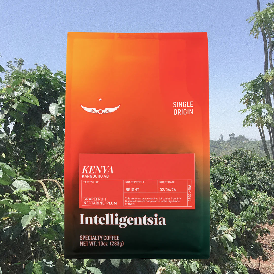 Intelligentsia - Kenya Kangocho AB