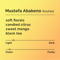 Mustefa Abakeno - Washed